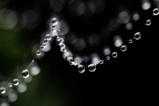 939951 (a): :2048x1365